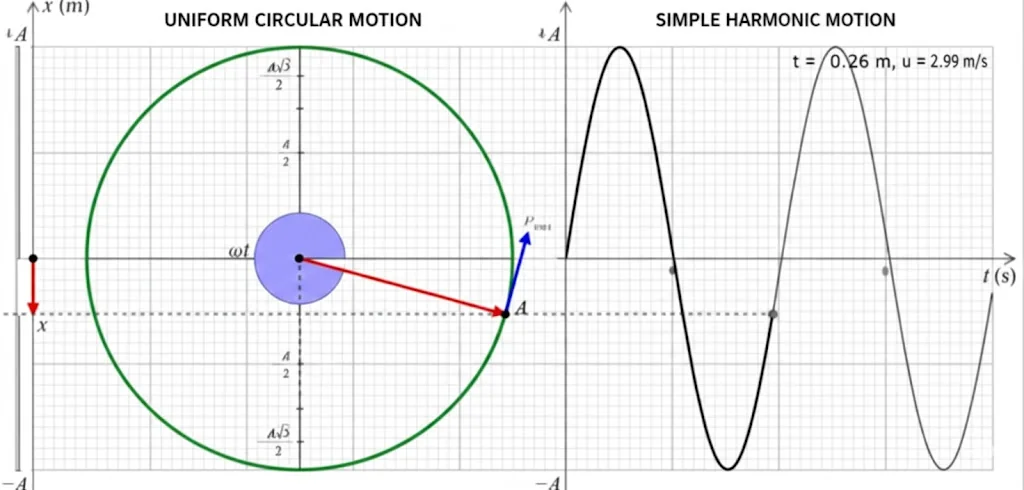 Diagram showing Simple Harmonic Motion as the projection of Uniform Circular Motion.