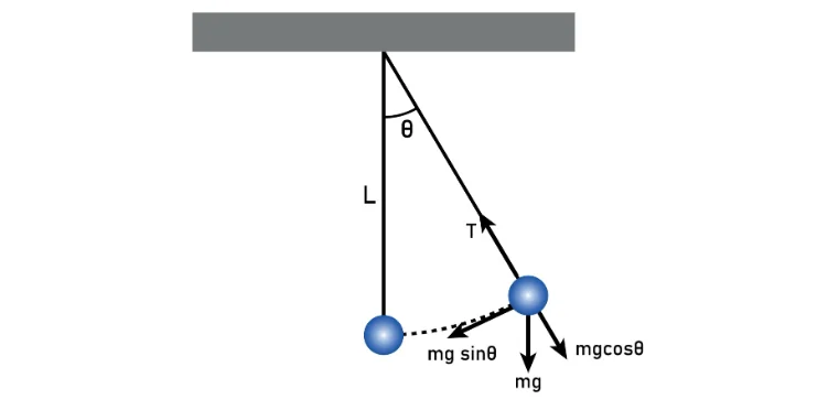 Force diagram of a simple pendulum showing resolution of weight.